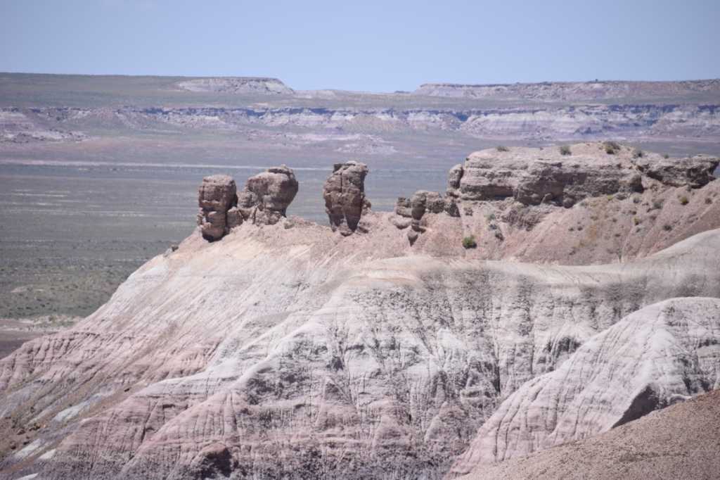 DSC_0092Mittel_.JPG